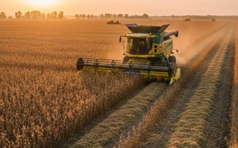 field_imagen_destacada__alt 