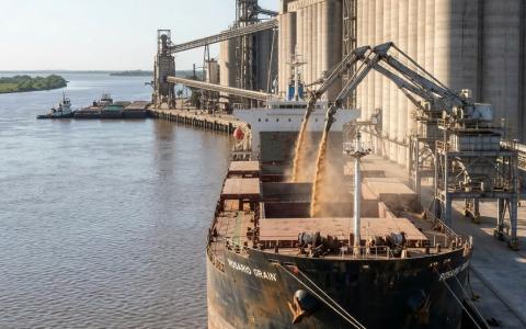 field_imagen_destacada__alt 